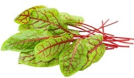 Sorrel