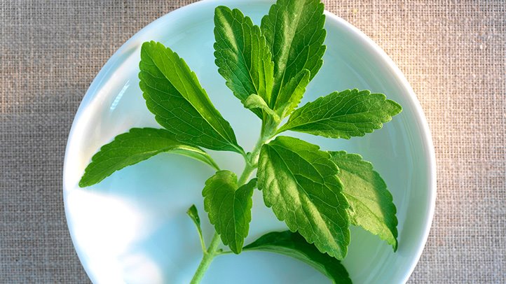 Stevia