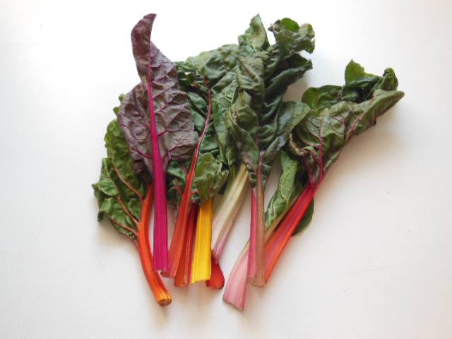 Swiss Chard, Multi-Coloured