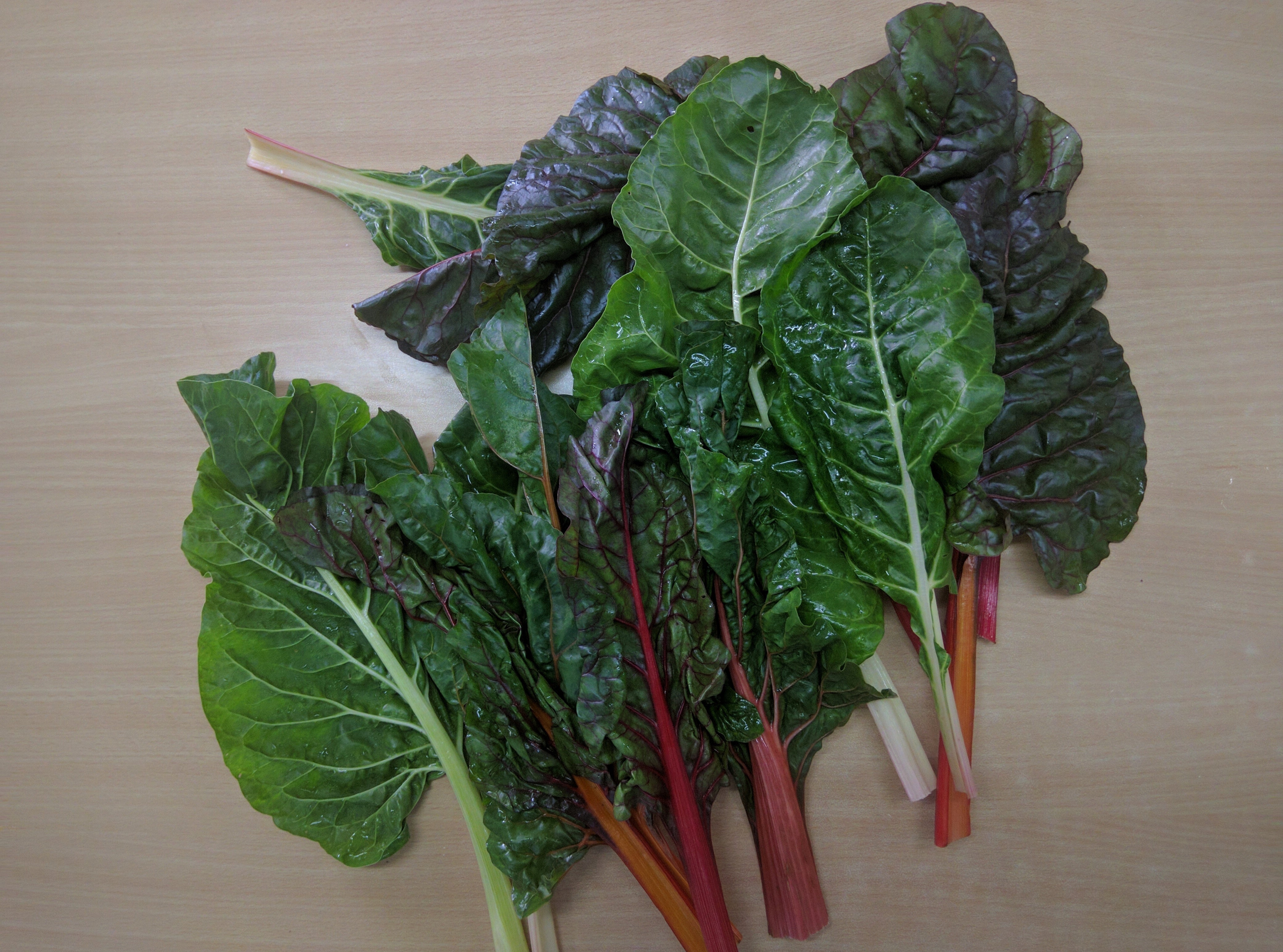 Swiss Chard, Multi-Coloured