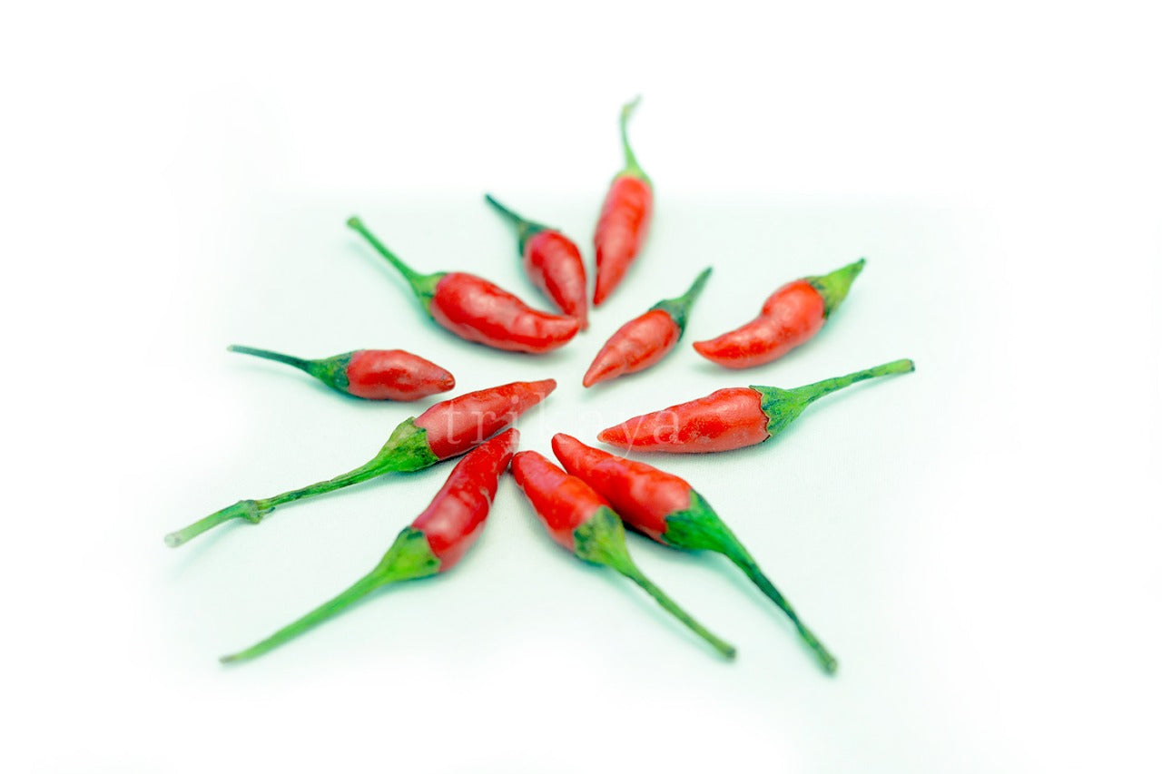 Thai Bird Chilli