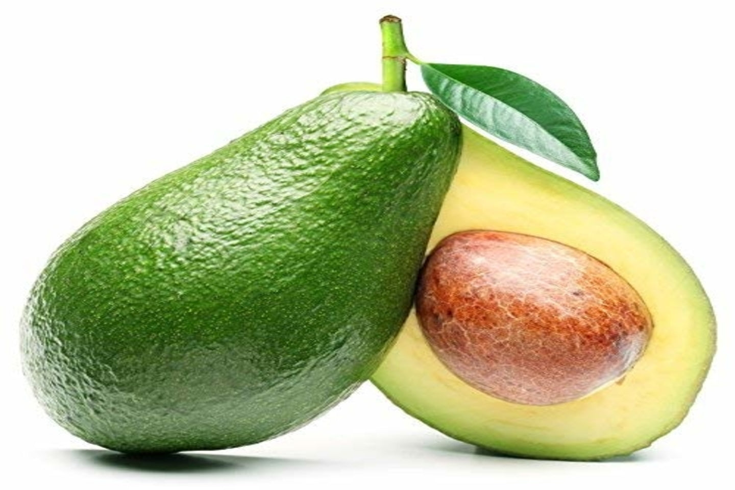 Avocado Regular