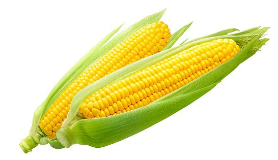 Sweet Corn