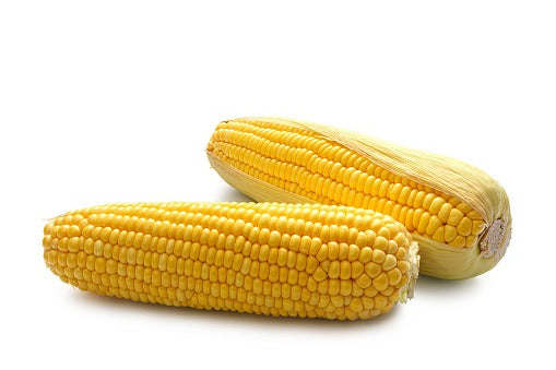 Sweet Corn