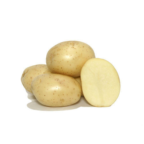 Potato Ooty, Freshly Harvested