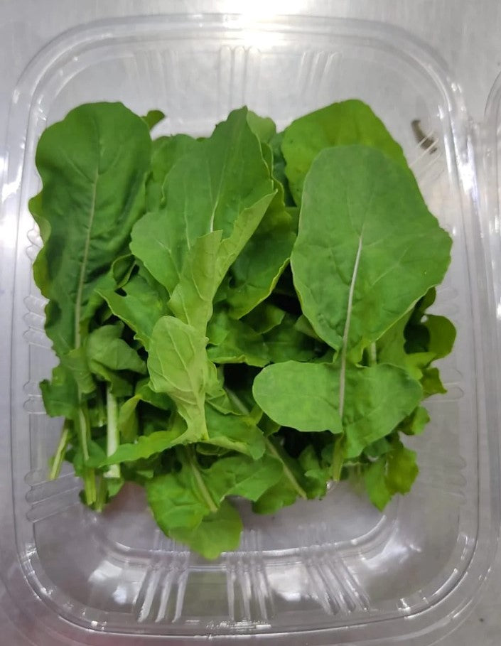 Baby roquette