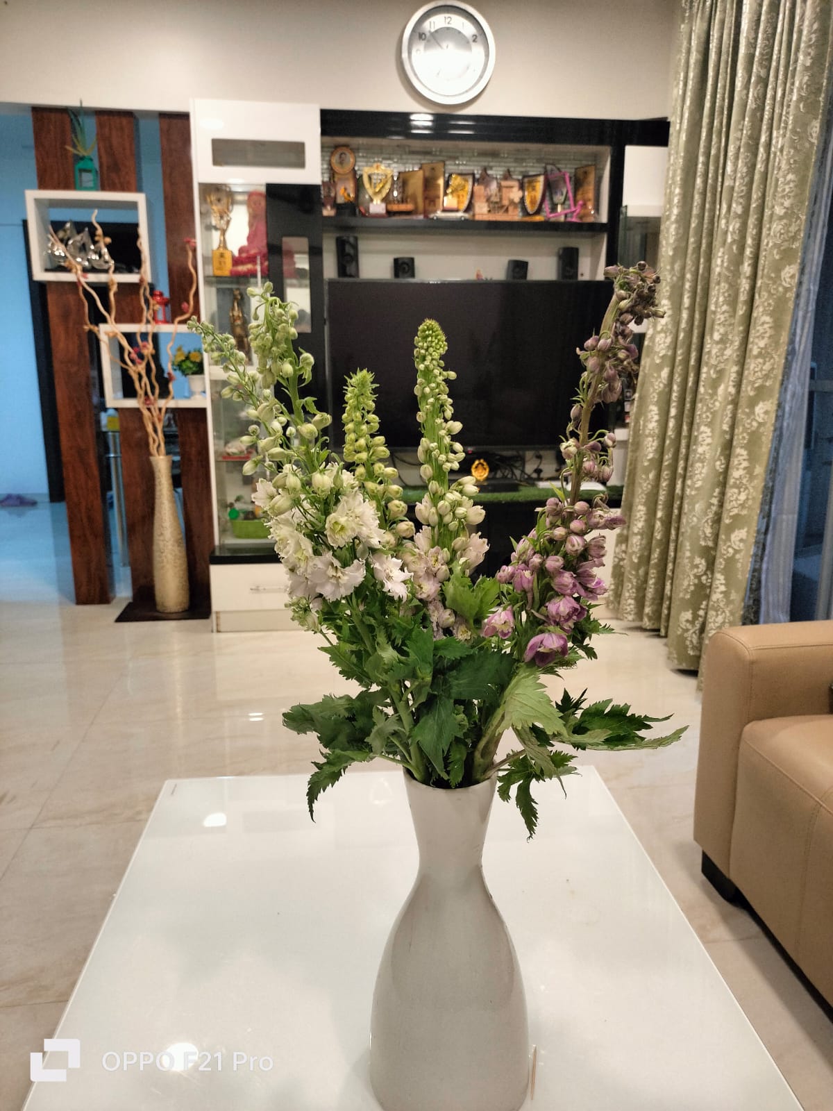 Delphinium (White,Light Blue)