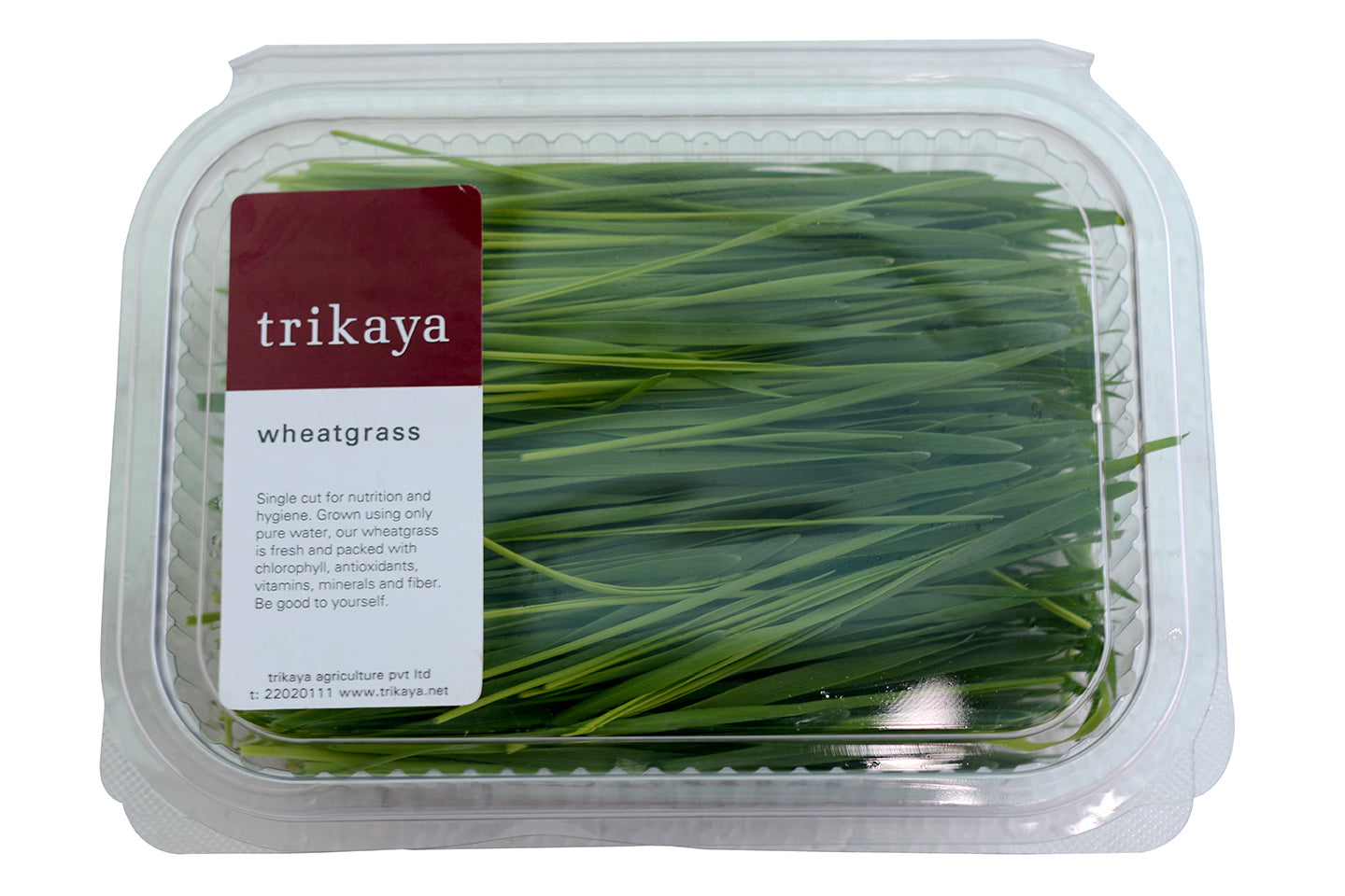 Wheatgrass