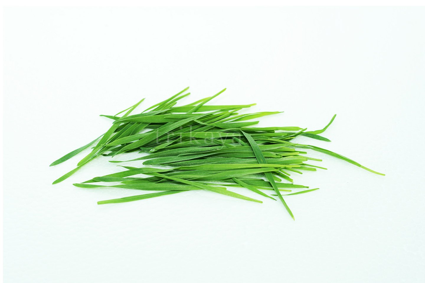 Wheatgrass