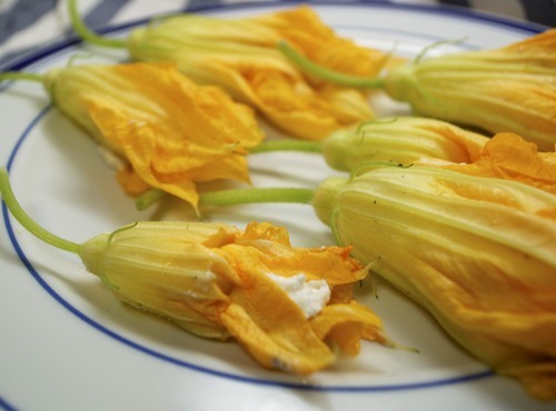 Zucchini Flowers
