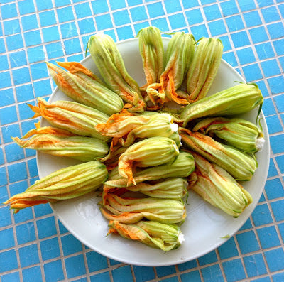 Zucchini Flowers