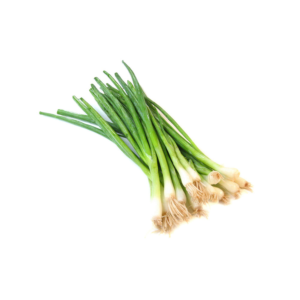 Bunching Onion, Japanese