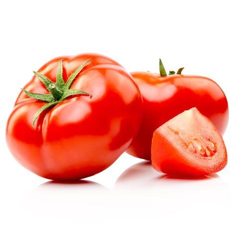 Tomato Boston Red