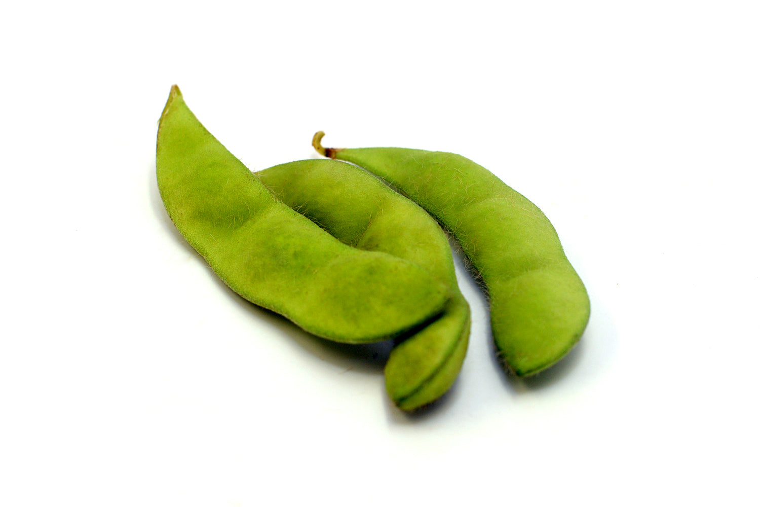Edamame Fresh
