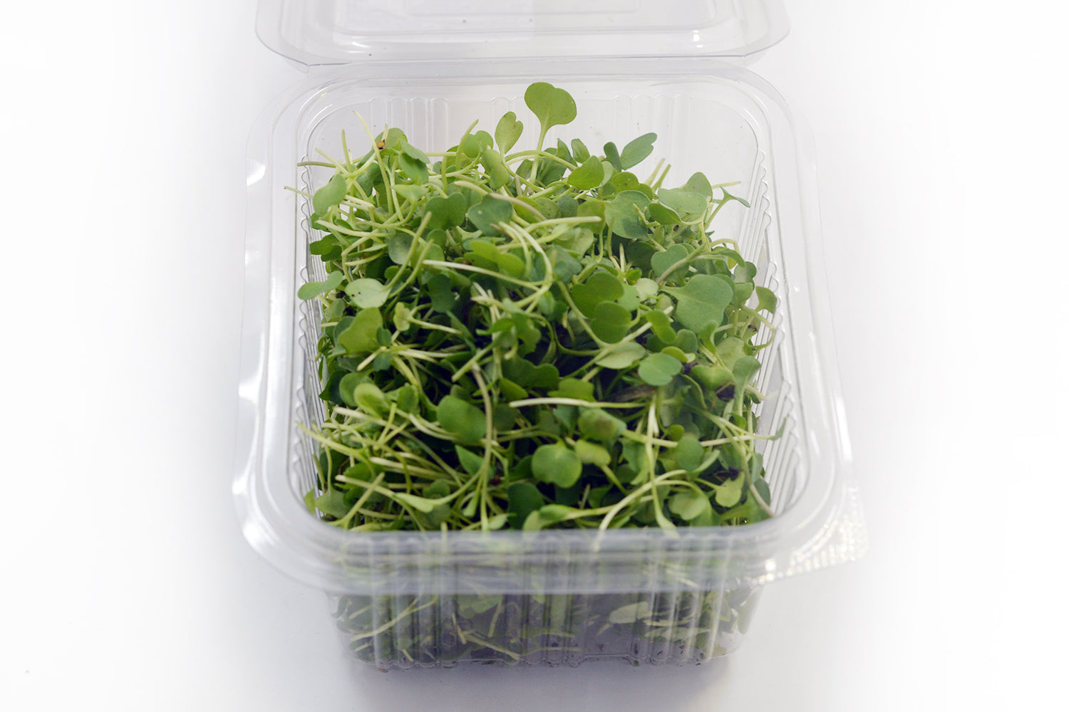 Microgreen Roquette