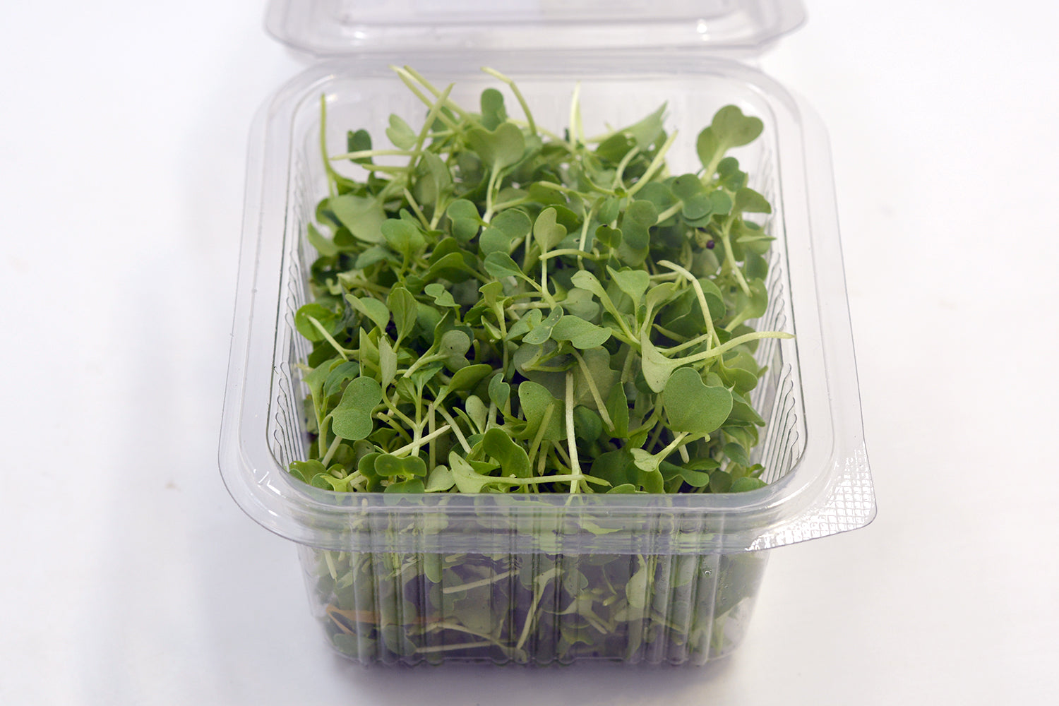 Microgreen Broccoli