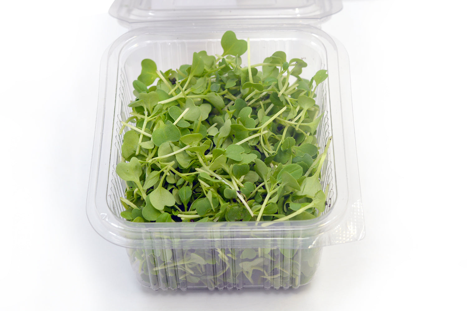 Microgreen Pakchoi