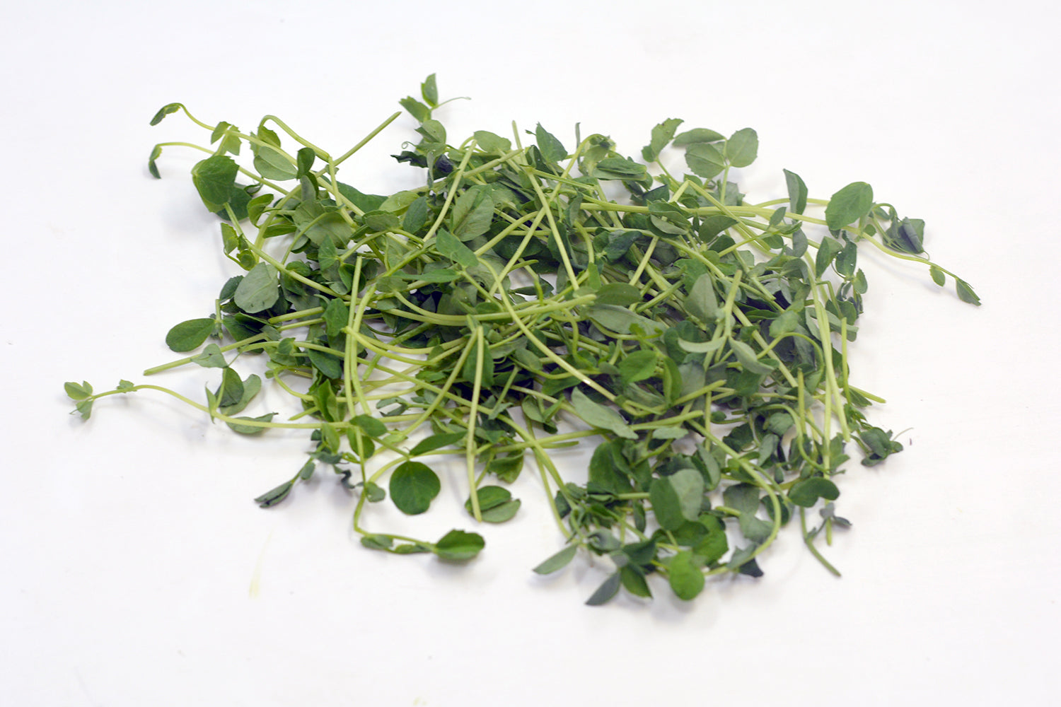 Microgreen Peas Shoot