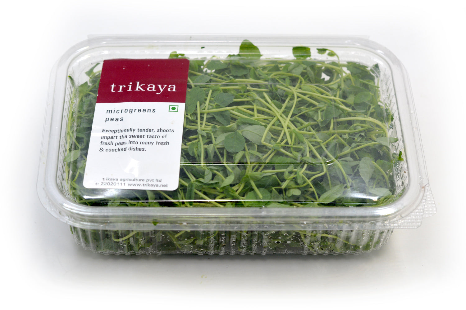 Microgreen Peas Shoot