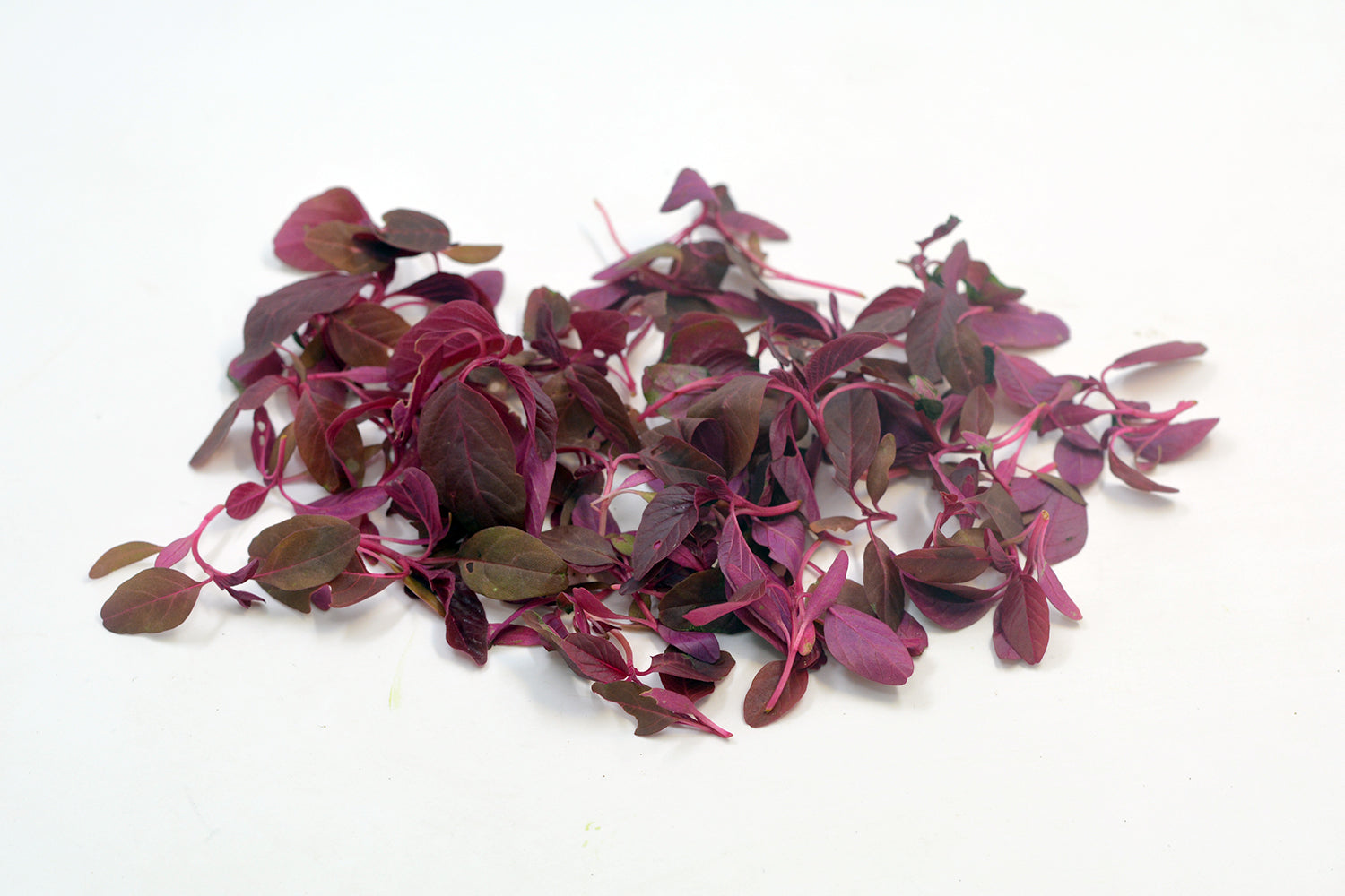Microgreen Amaranthus