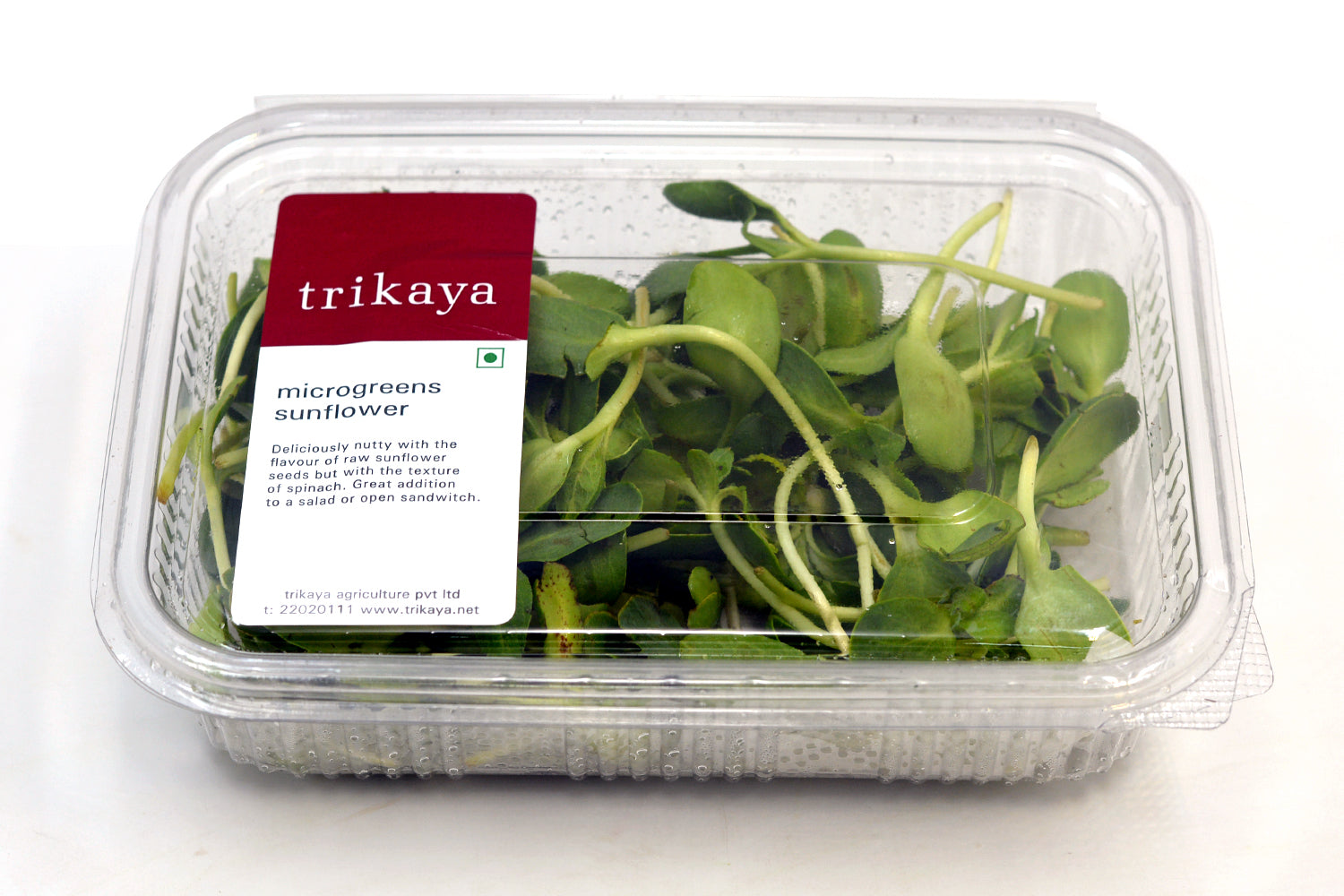 Microgreen Sunflower