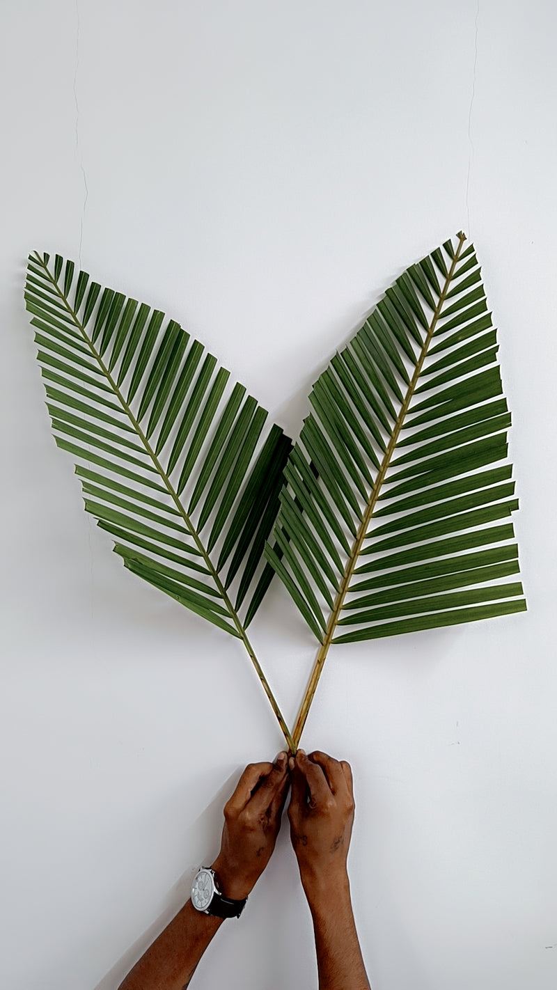 Palm Filler