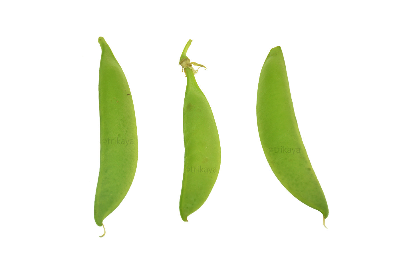 Snap Peas, Sweet