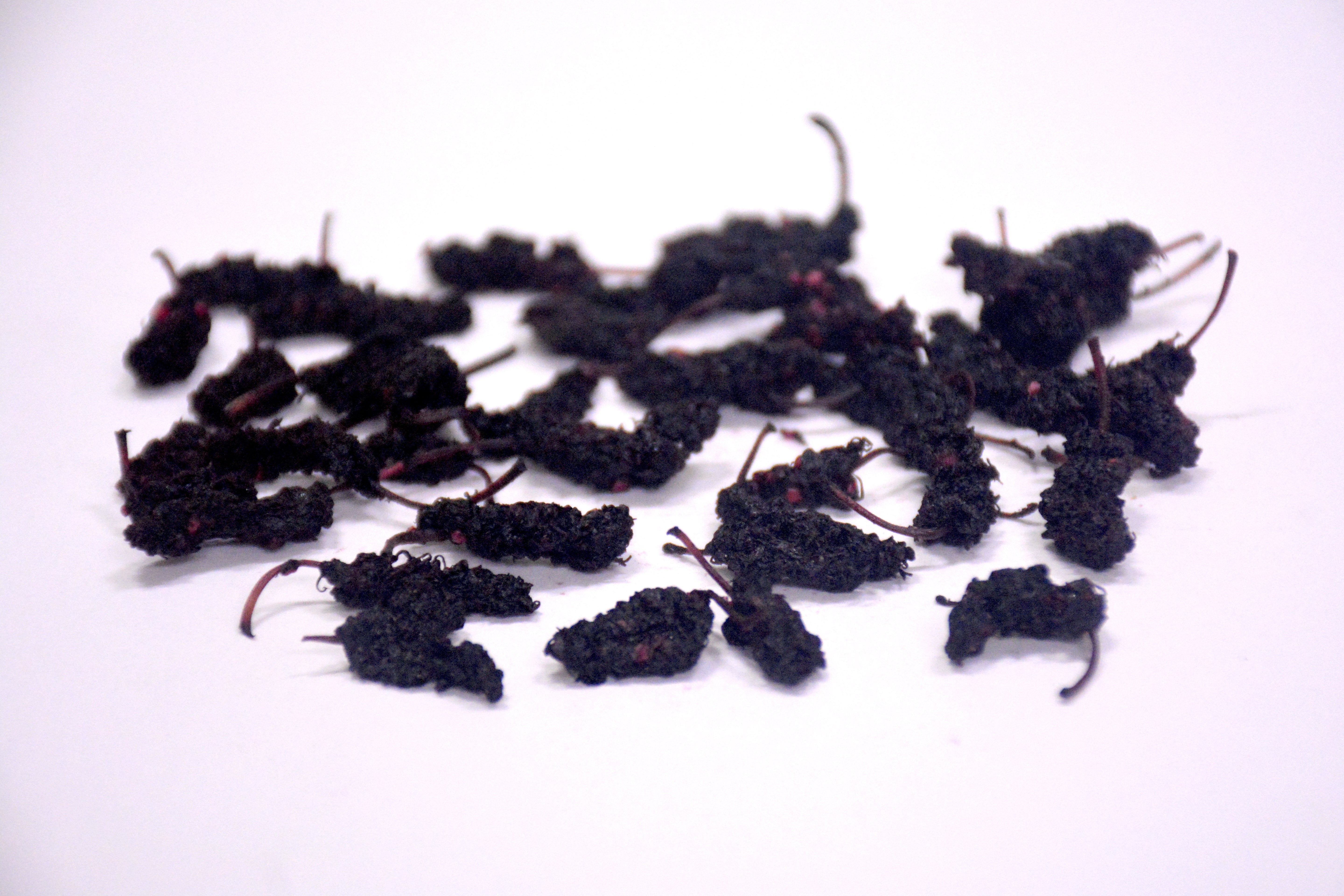 Sun Dried Mulberries