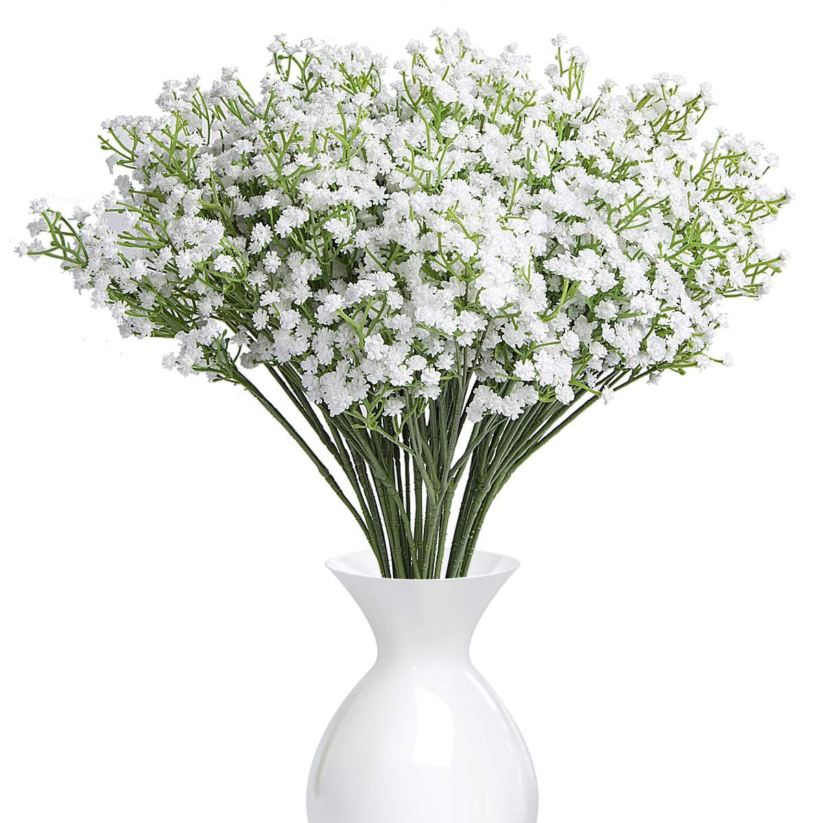 Gypsophila