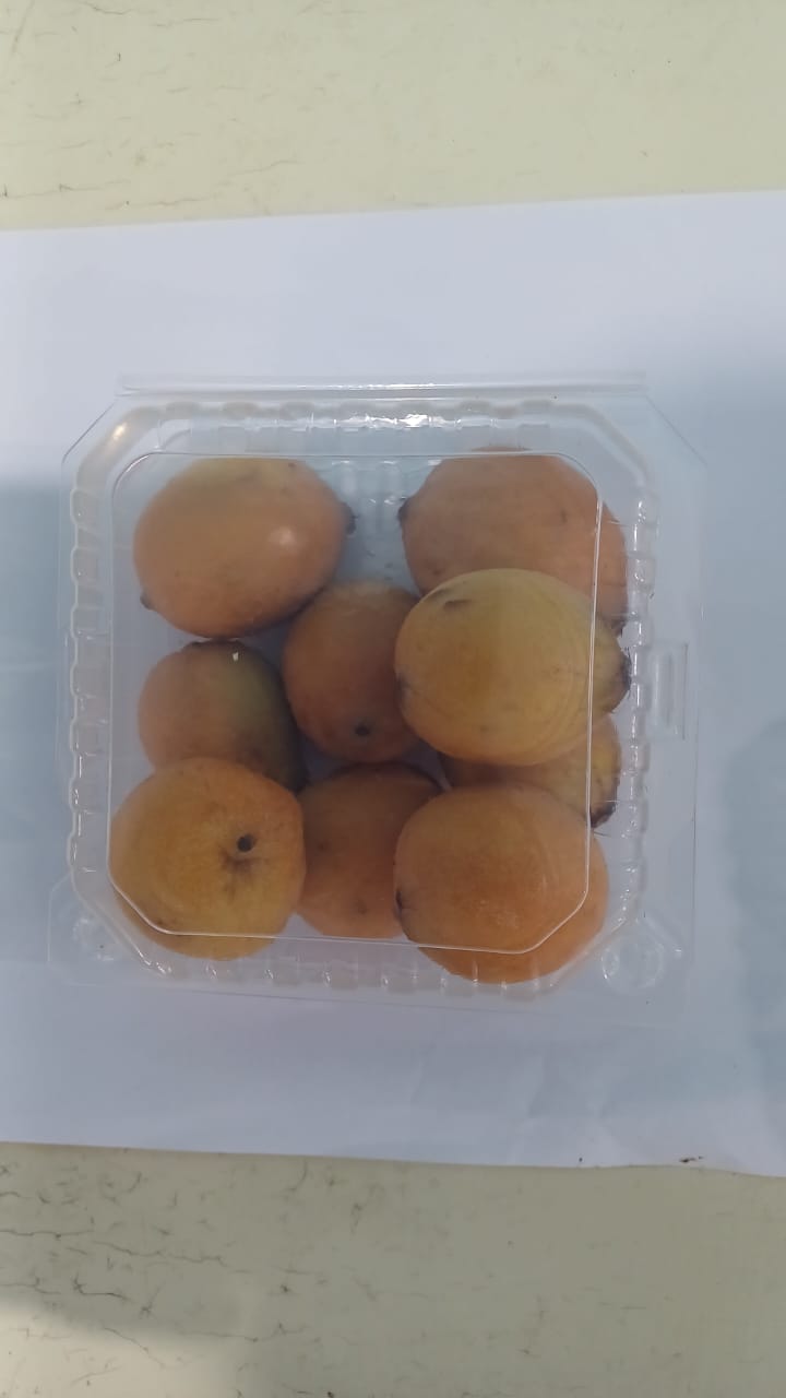 Mangosteen