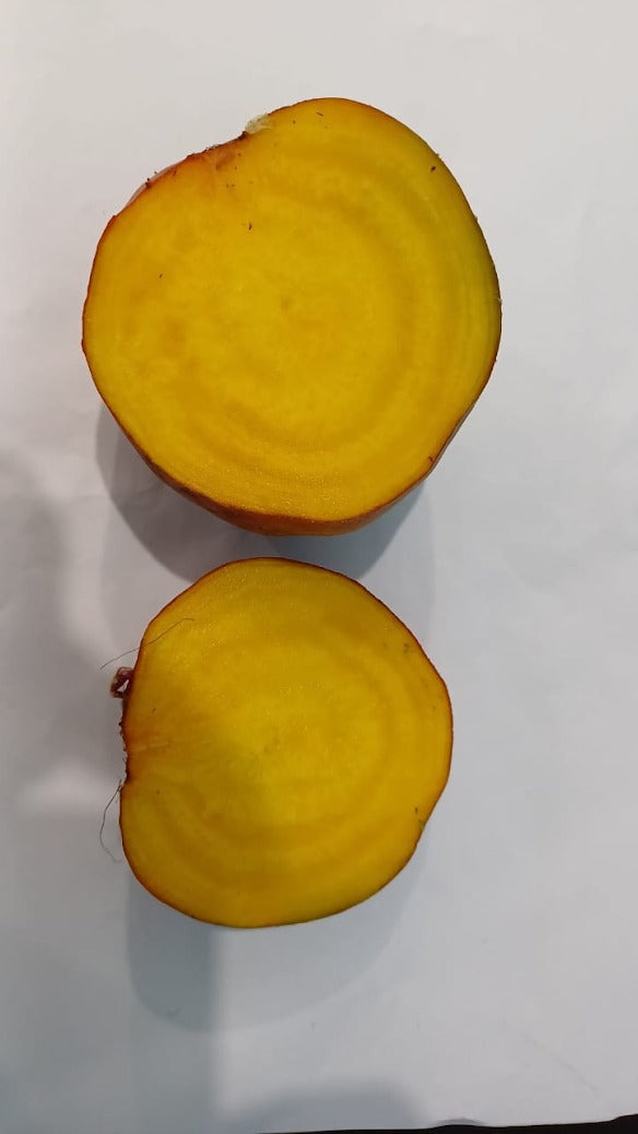 Beetroot Yellow