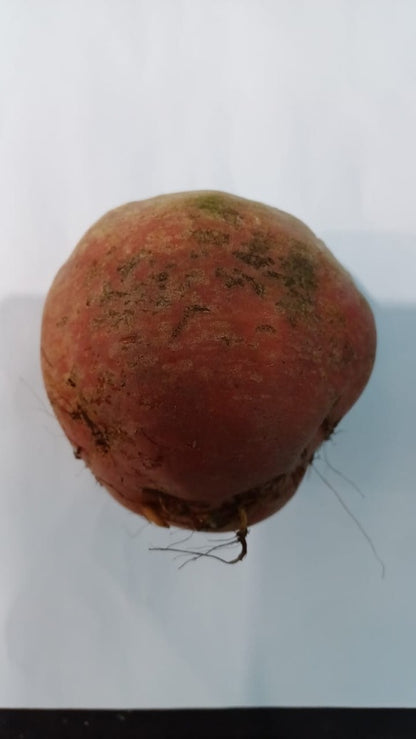 Beetroot Yellow