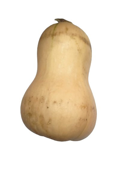 Butternut Squash