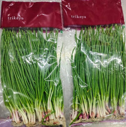 Baby Japanese Bunching Onion