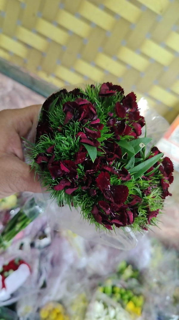 Sweet William Red