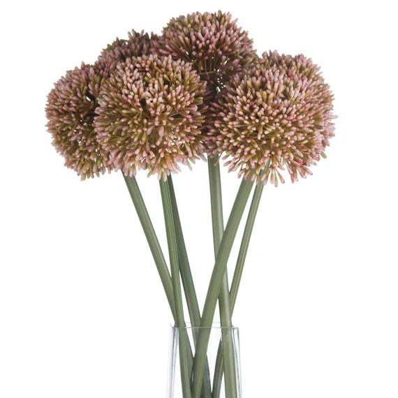 Pink Allium Flower