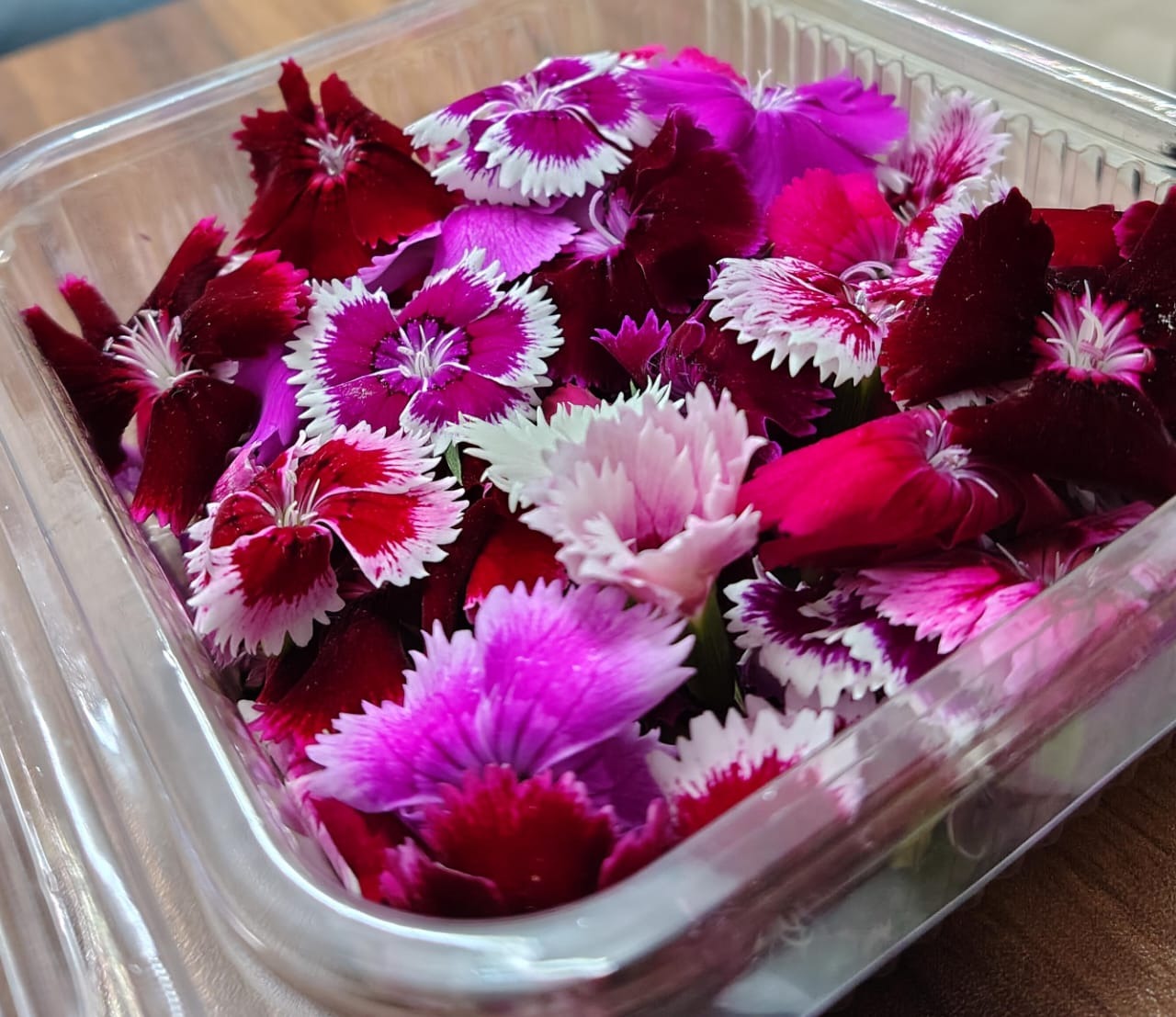 Edible Flowers - Dianthus
