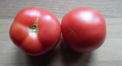 Tomato Big