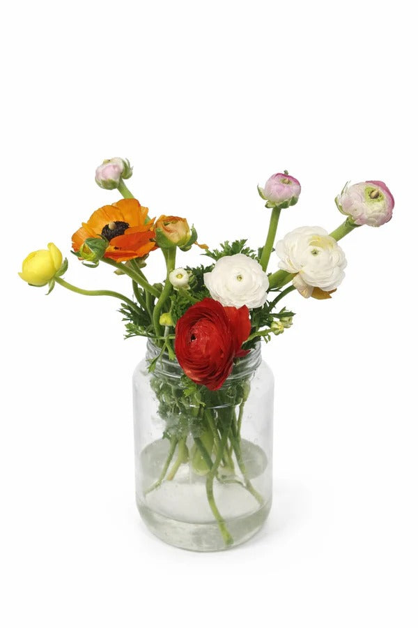 Ranunculus Mix