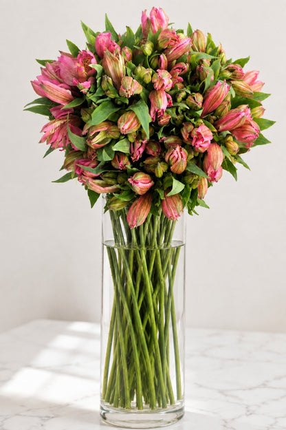 Premium Alstroemeria Pink