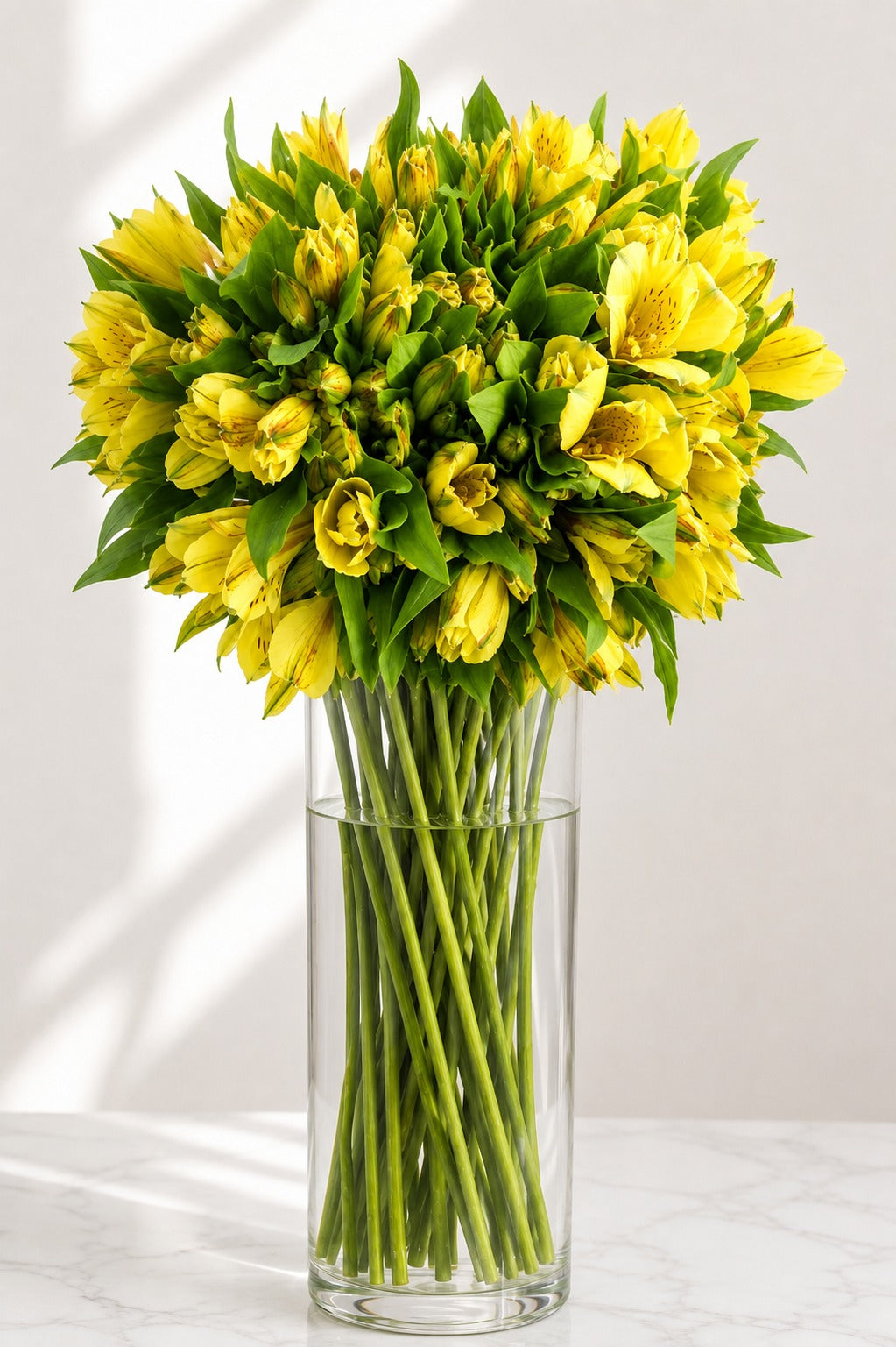 Premium Alstroemeria Yellow