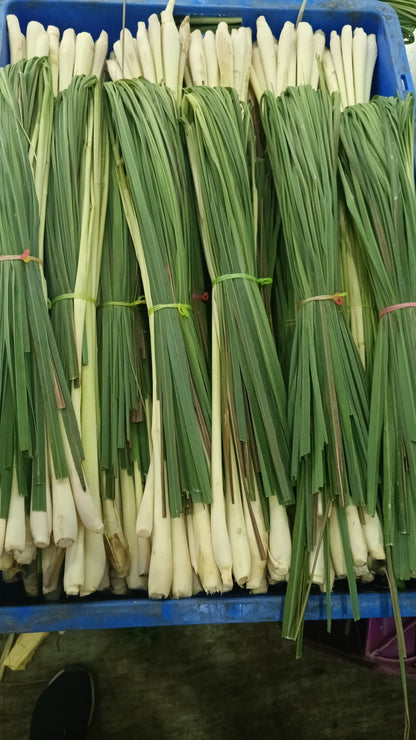 Lemon Grass