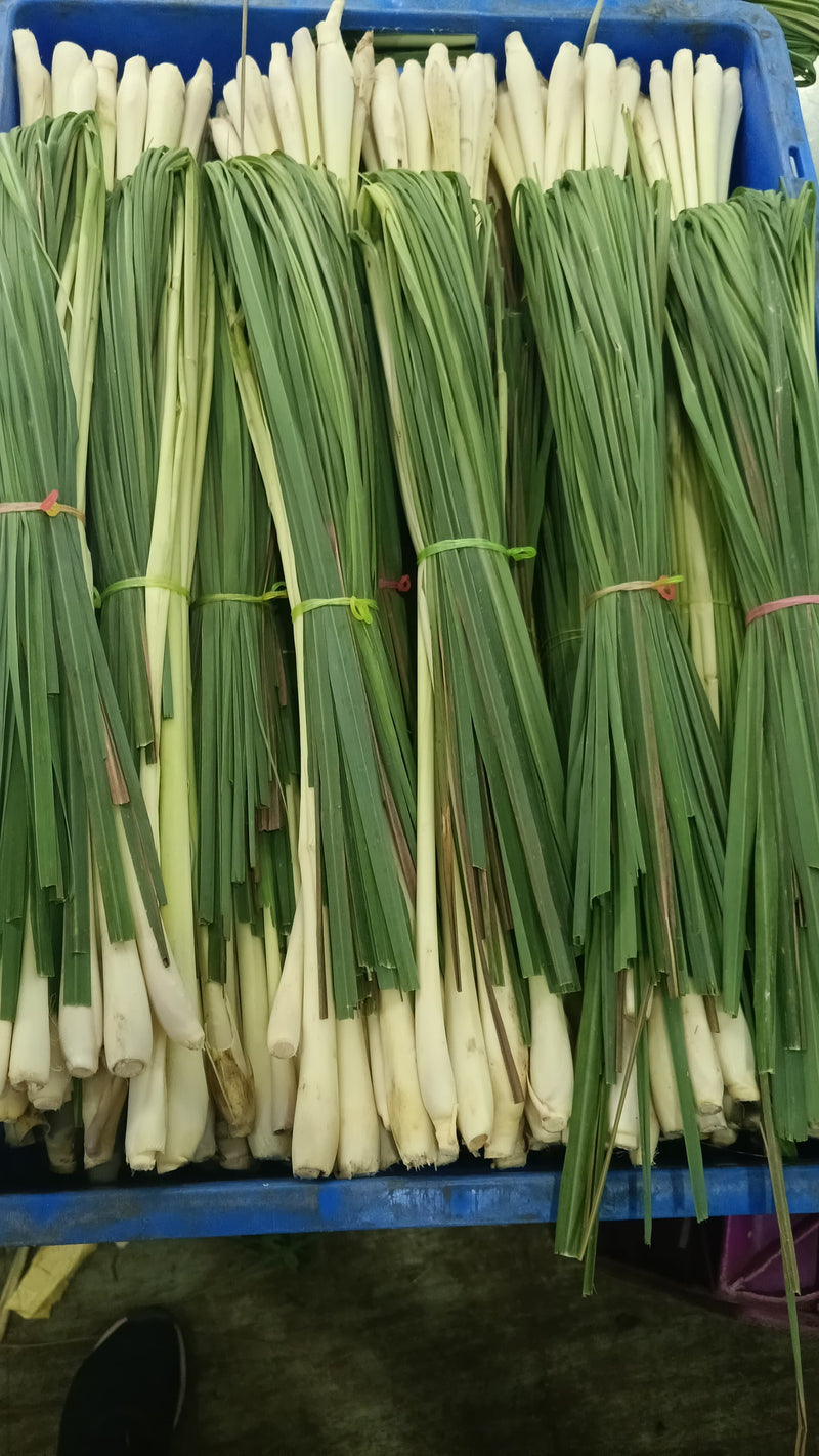 Lemon Grass