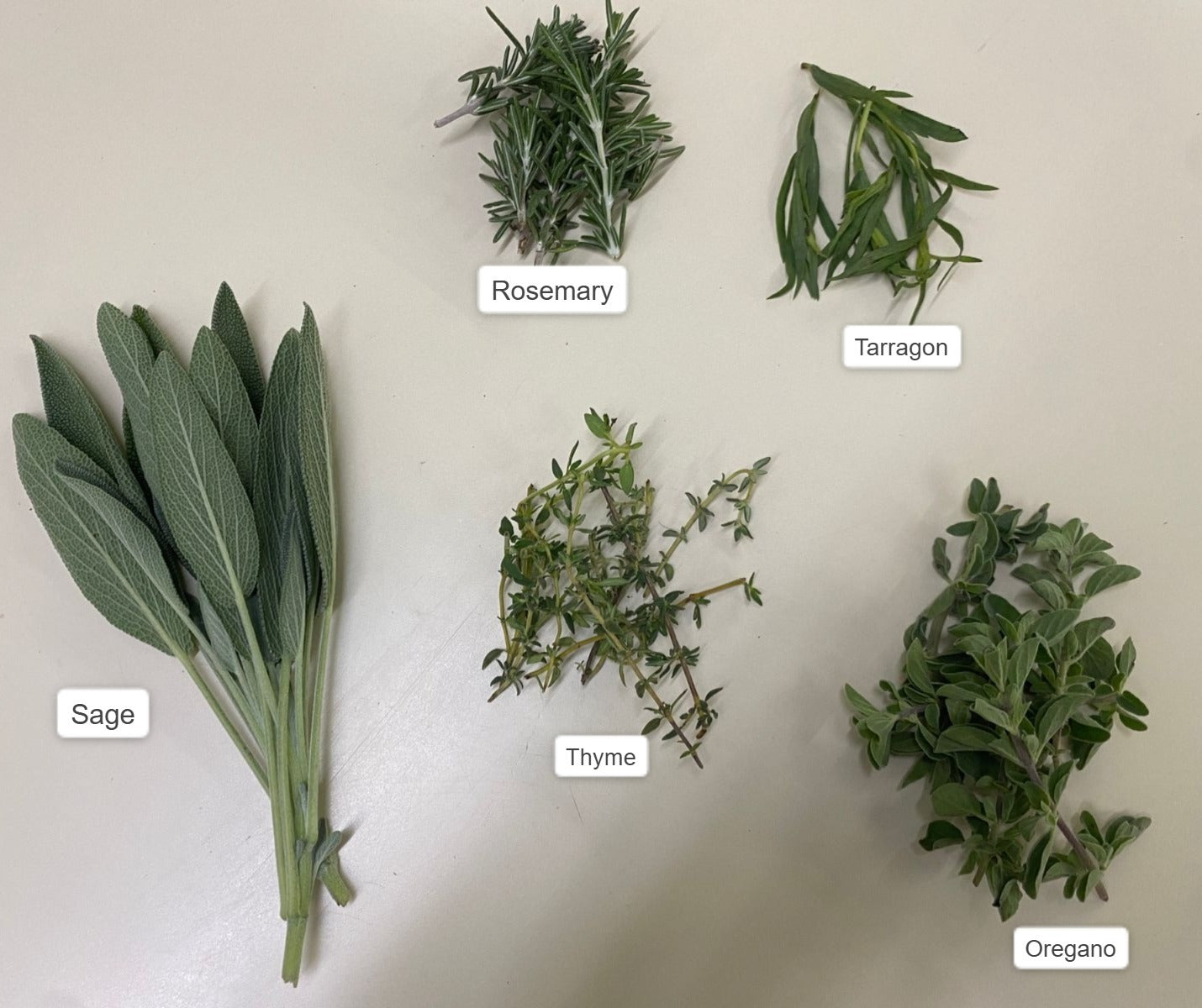 Mix Herbs Fresh