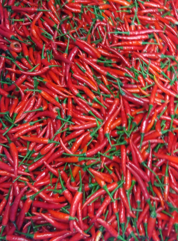 Bangkok Chilli