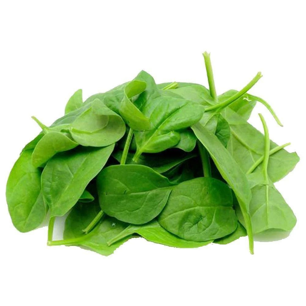 Spinach , Baby