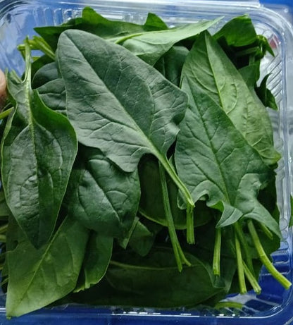 Baby Spinach, Premium