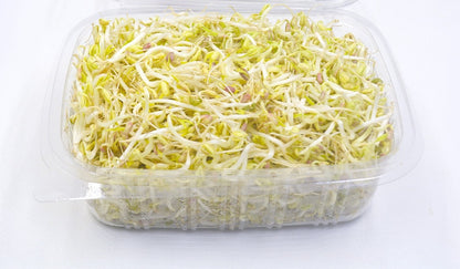 Mung Sprouts