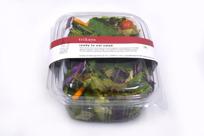 Ready To Eat Salad With Roquette