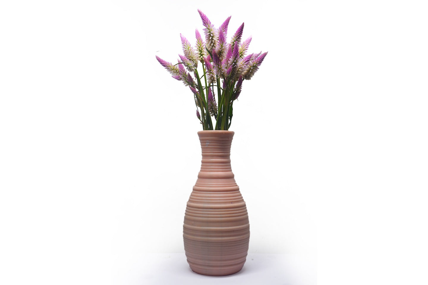 Celosia Roquette Pink